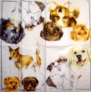 083 Hunde (83)